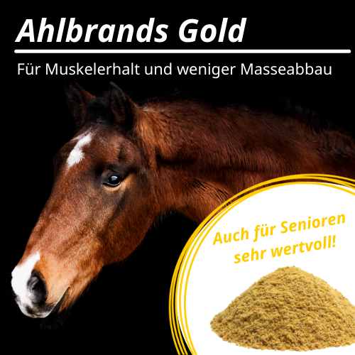 Ahlbrands-Gold-Senioren