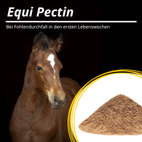 Equi-Pectin-Fohlendurchfall